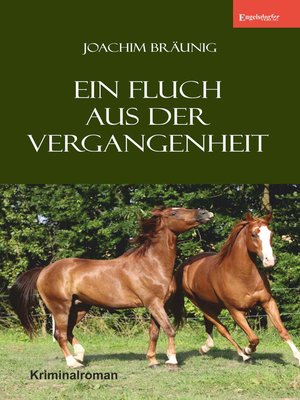 cover image of Ein Fluch aus der Vergangenheit